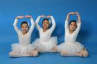 thumbs/IMG_2084.jpg