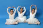 thumbs/IMG_2085.jpg
