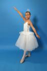thumbs/IMG_2163.jpg